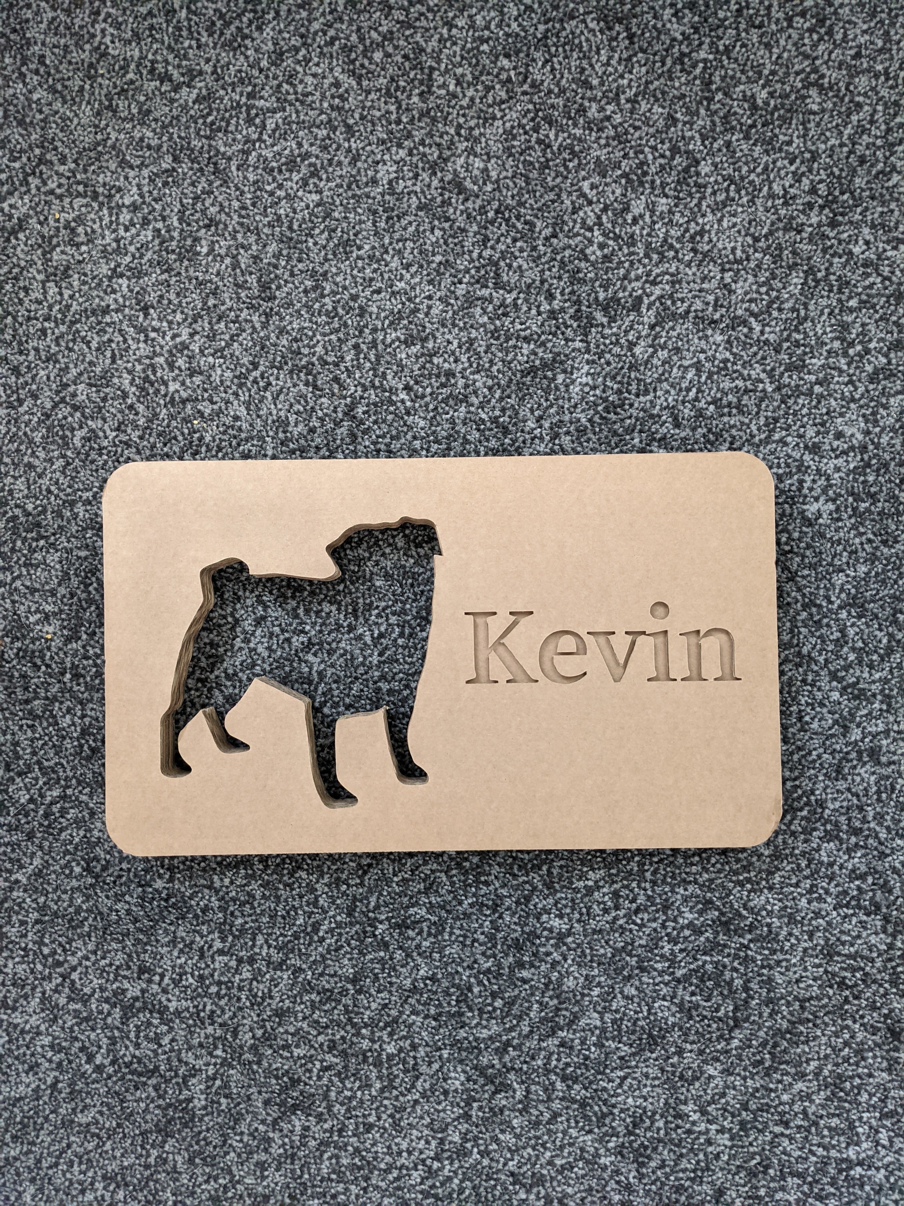 Pet Art