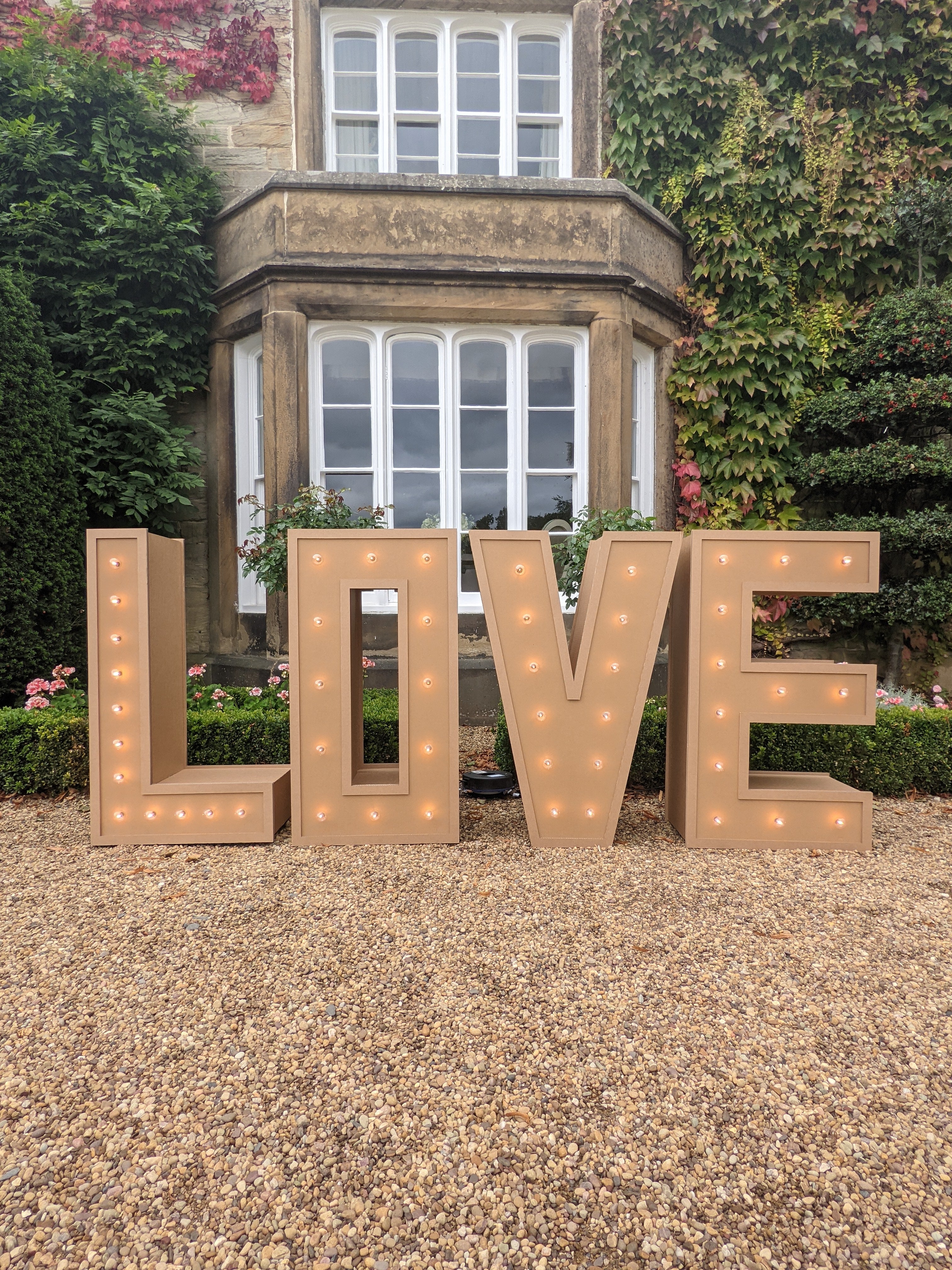 Illuminated Love Letters