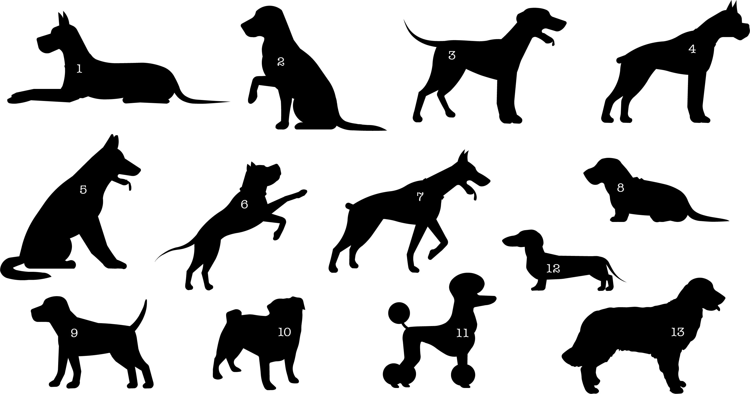 Pet Art
