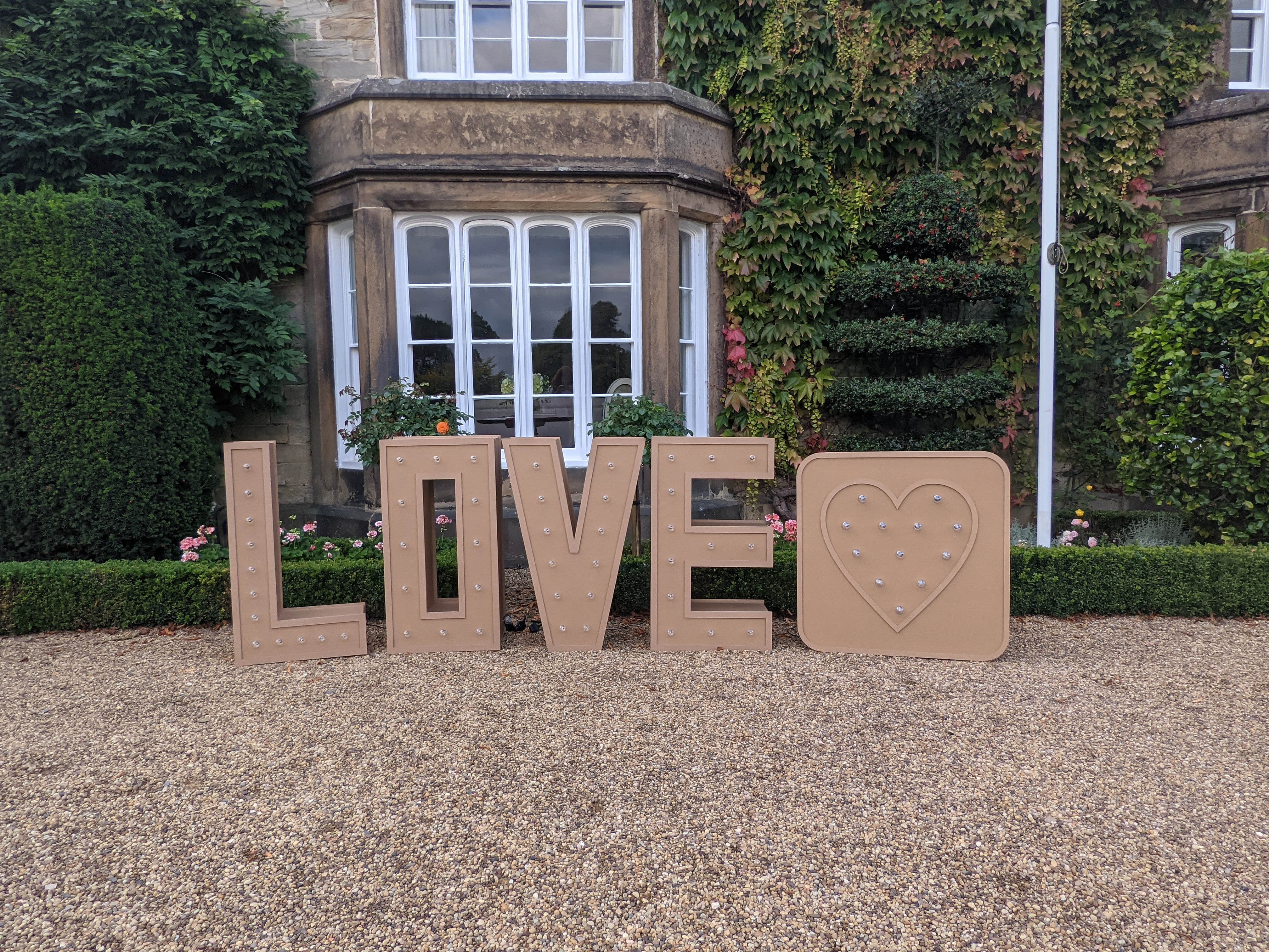 Illuminated Love Letters