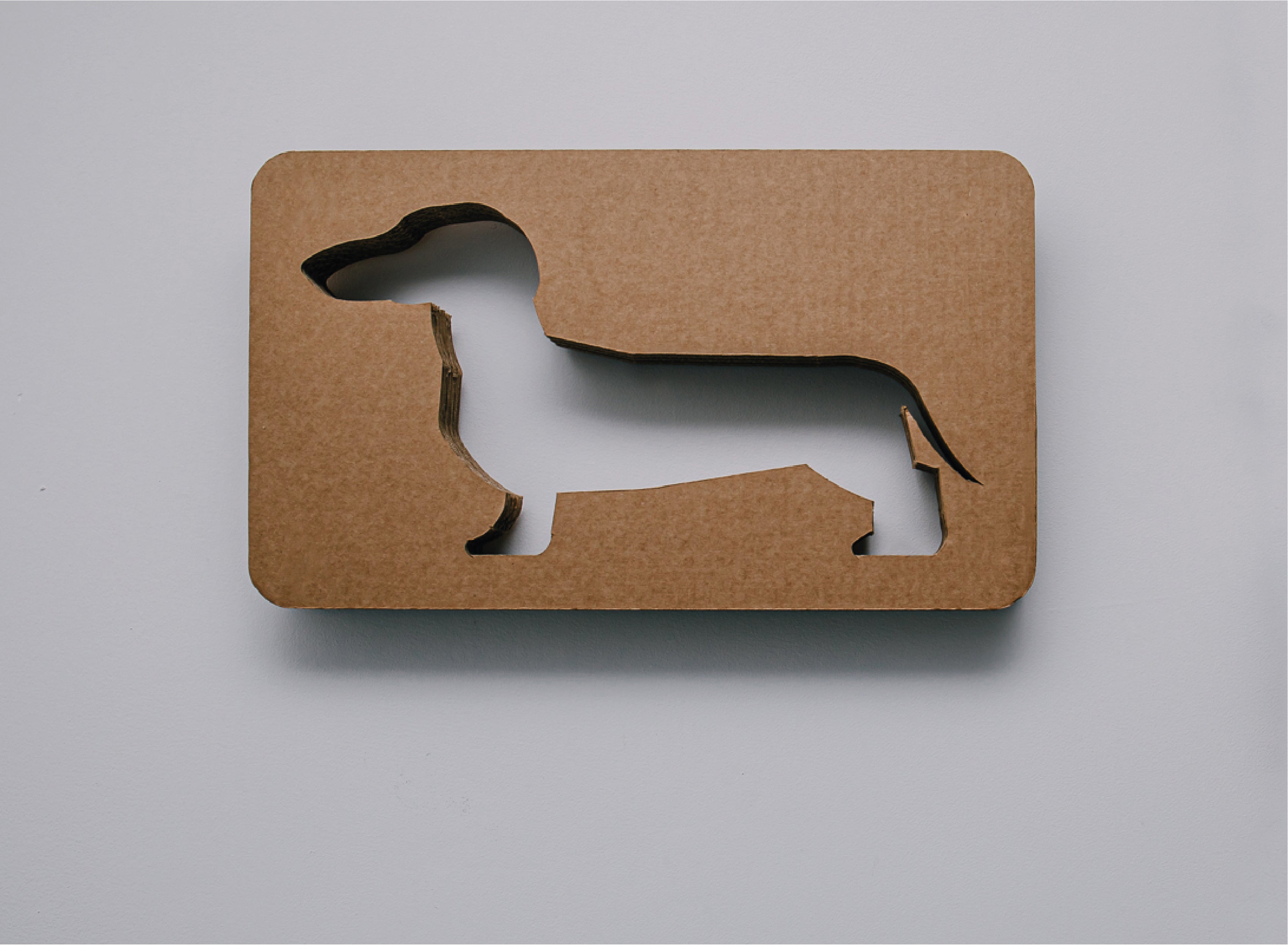 Pet Art